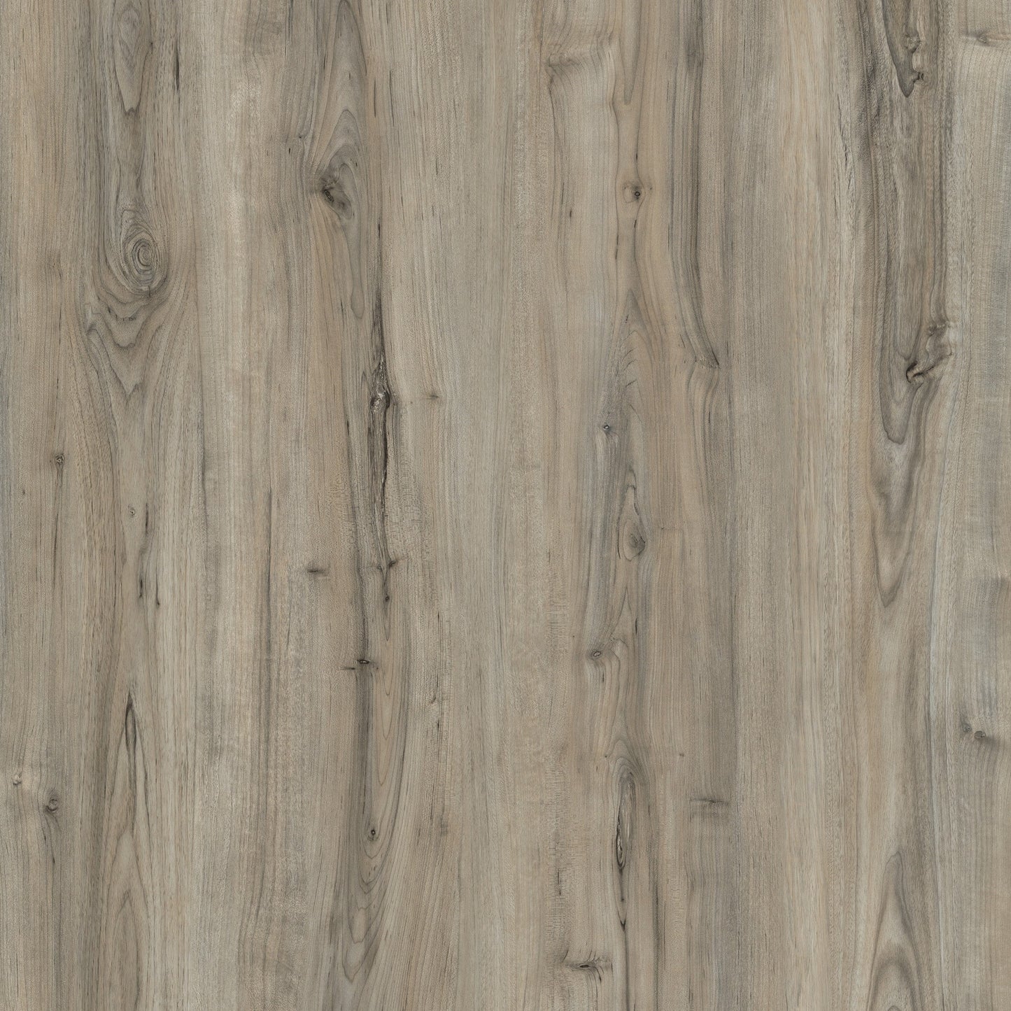Spec 5 LVT