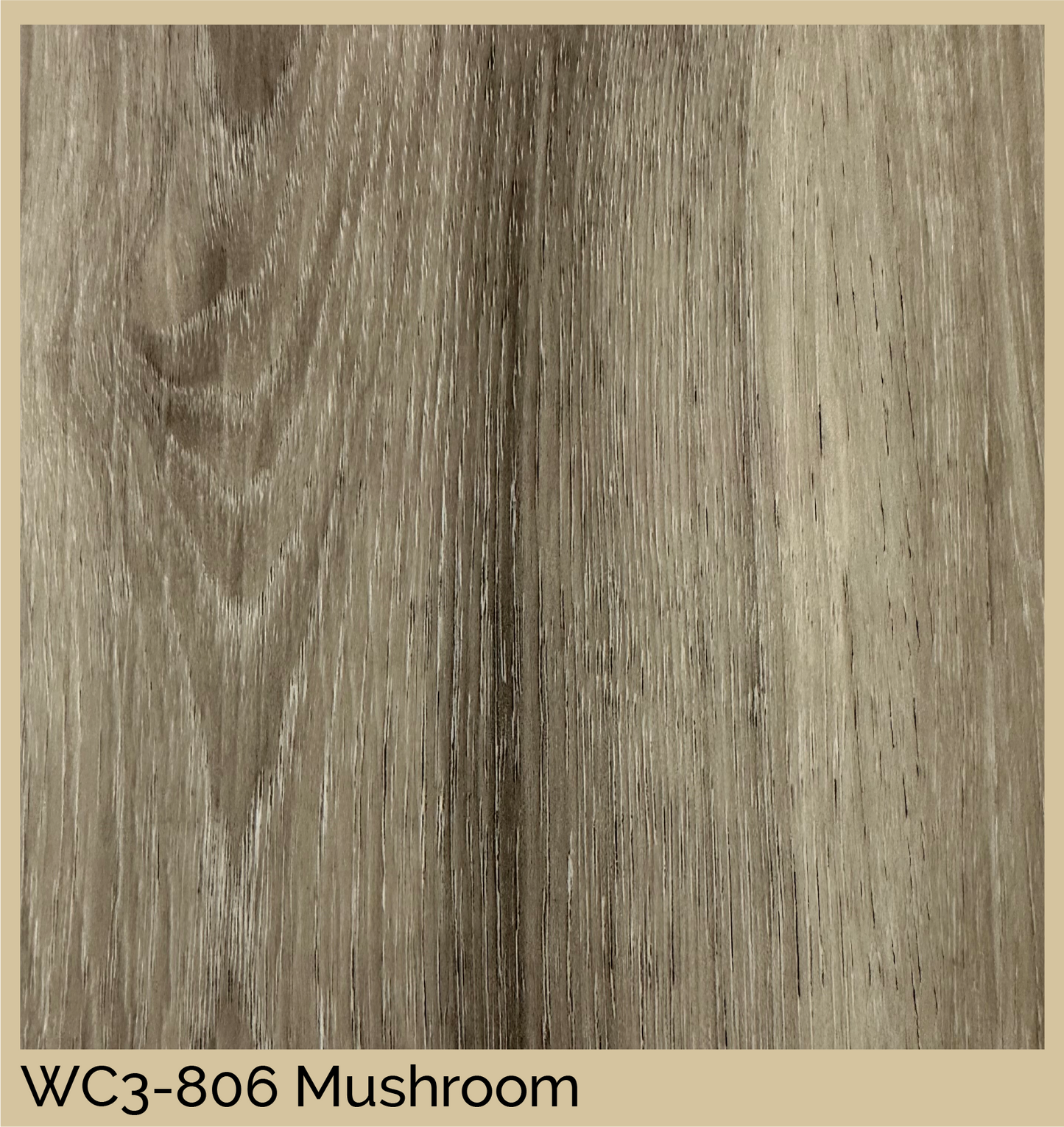 WhisperClick LVT