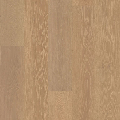 Foundation Oak 7.5
