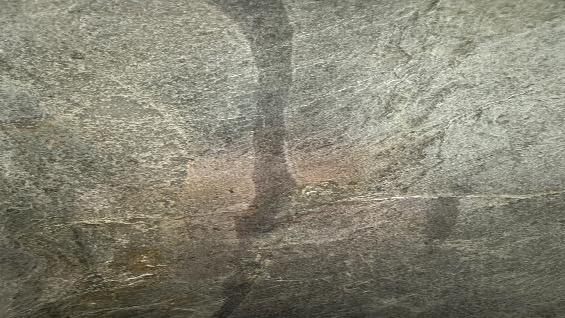 Translucent Veneer - 2mm, Flexible Laminate Backer – Specified Solutions