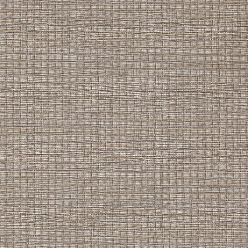 Modern Neutrals