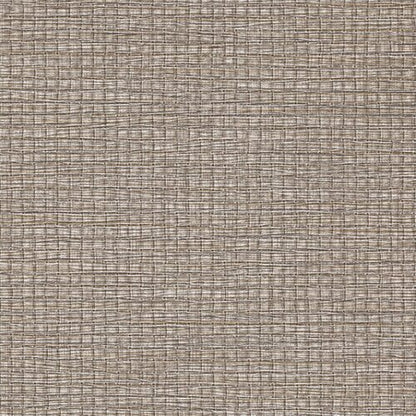 Modern Neutrals