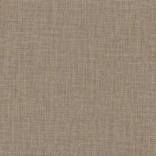 Modern Neutrals
