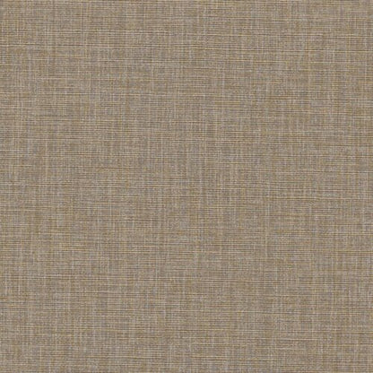 Modern Neutrals