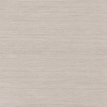 Modern Neutrals
