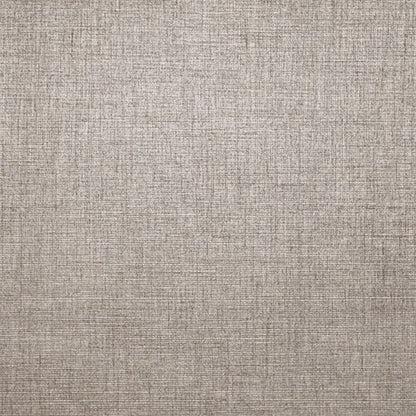 Modern Neutrals