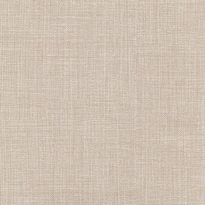 Modern Neutrals