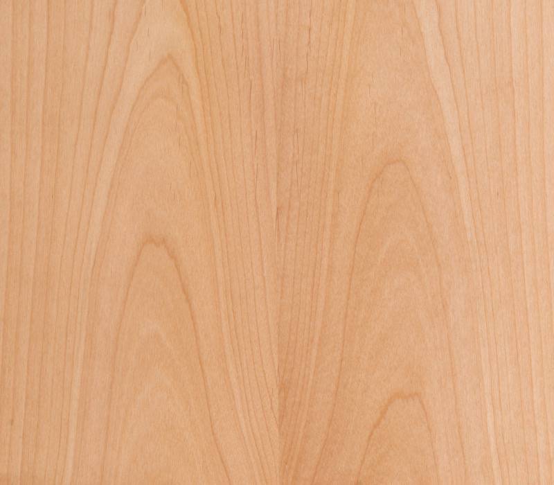 Forestree Wood Wallcovering – Specified Solutions