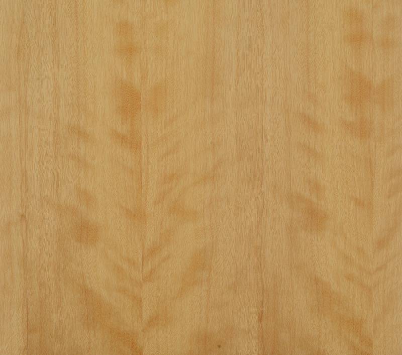 Forestree Natural: ClassicWood            (All colors & species)