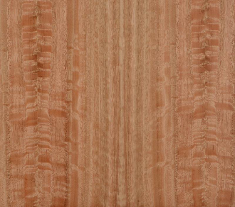 Forestree Natural: ClassicWood (All colors & species) – Specified Solutions