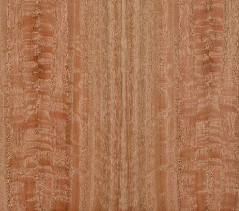 Forestree Natural: ClassicWood            (All colors & species)