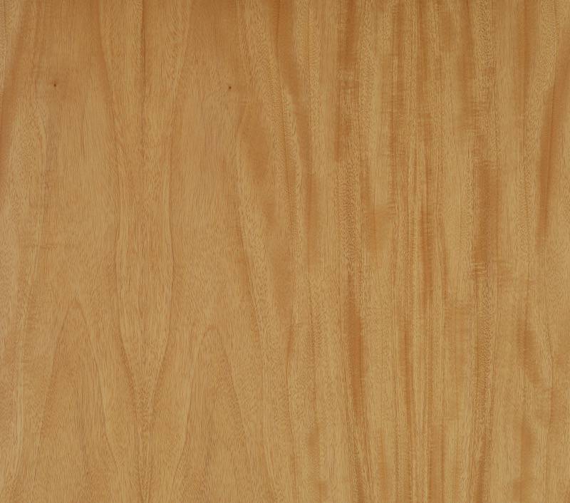 Forestree Natural: ClassicWood            (All colors & species)