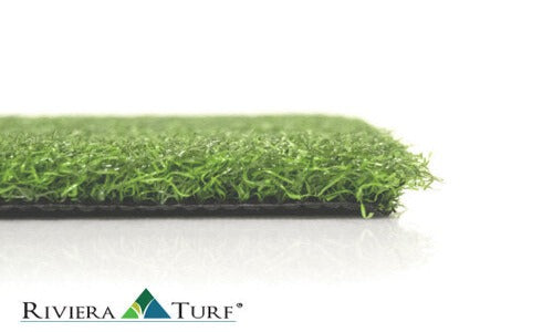 Champion Putt